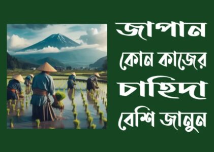 জাপানে কোন কোন সেক্টরের কাজে যেতে পারবেন?