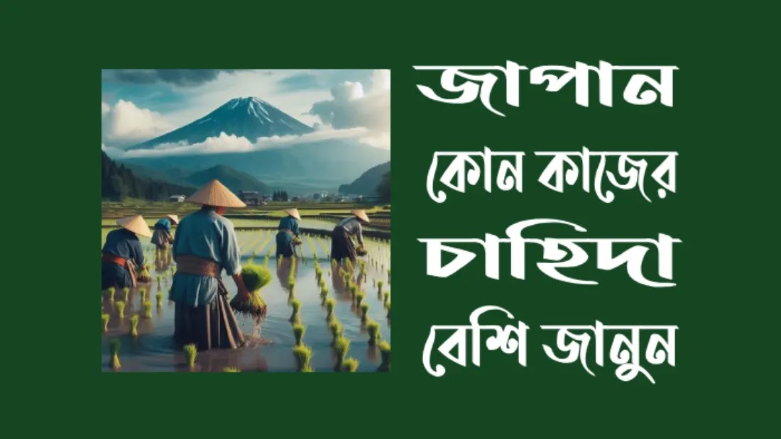 জাপানে কোন কোন সেক্টরের কাজে যেতে পারবেন?